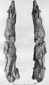 Point of Mammoth Tusk Carved with Reindeer, from Montastruc, Bruniquel, France