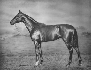 Polymelus, 1902-1924, 1911