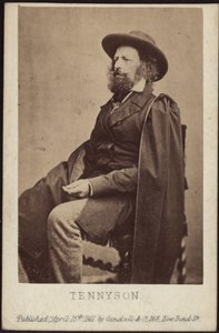 Portrait of Alfred, Lord Tennyson 1809-1892, 1861 by Unbekannt