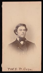 Portrait of Edward Drinker Cope by Unbekannt