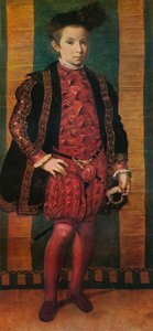 Portrait of a Boy, c1545, 1911