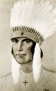 Portrait of an American Indian, 20th century by Unbekannt