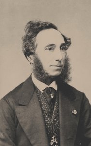 Portrait of the Violinist and Composer Camillo Sivori
