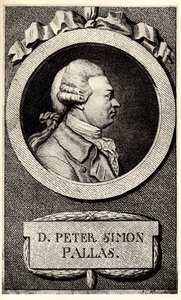 Portrait of the Zoologist and Botanist Peter Simon Pallas, Early 19th Century