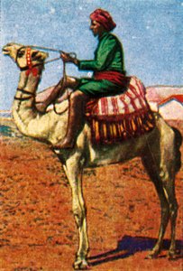 Post Delivered by Camel, Arabia