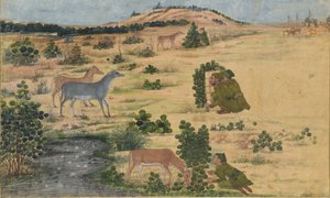 Preparations for a Hunt