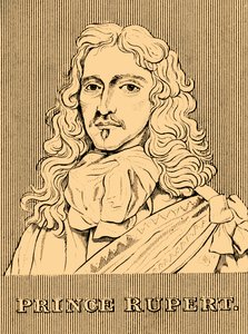 Prince Rupert by Unbekannt