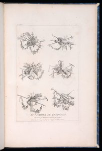 Print