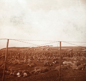 Prison Camp, c. 1914-1918