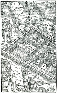 Producing Salt by Evaporating Sea Water in Salt Pans by Unbekannt