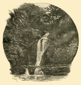 Pyrddin Falls, Vale of Neath, 1898 by Unbekannt