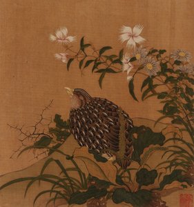 Quail and Flowers