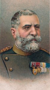 Radomir Putnik, Serbian Field Marshal, 1917
