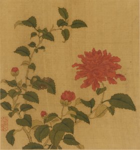 Red Peony