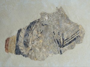 Remains of a Quadruped by Unbekannt