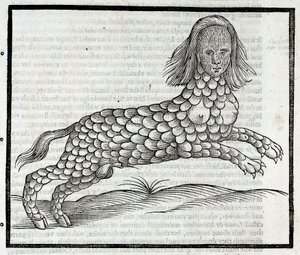 Representation of the Creature Lamia (Sybaris) - Engraving from History of Four-Footed Beasts by Edward Topsell 1607 by Unbekannt