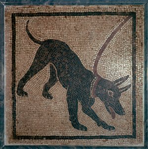 Roman Mosaic of a Dog by Unbekannt