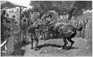 Sale of Hunters Raising an Objection