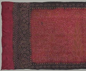 Sari