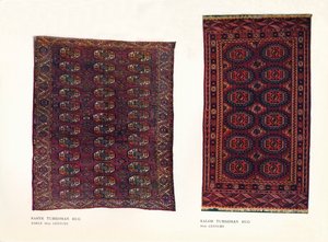 Saryk Turkoman rug and Salor Turkoman rug