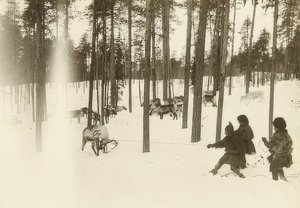 Sweden. Lapps (Sami) Catching a Reindeer by Unbekannt