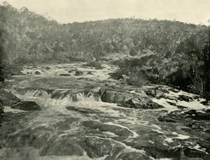 Second Basin, South Esk River, 1901
