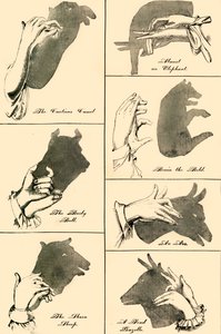 Shadow Pictures and Silhouettes, 1883 by Unbekannt