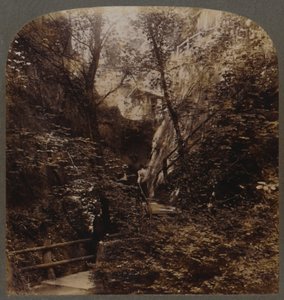 Shanklin Chine of World-wide fame, Isle of Wight, England by Unbekannt