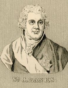 Sir J. Banks by Unbekannt