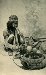 Snake Charmer by Unbekannt