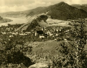 Spitz an der Donau, Wachau, Lower Austria