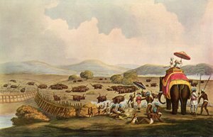 Sport in India - Driving Elephants Into A Keddah by Unbekannt