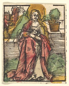 St. Agnes (Copy)
