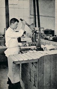 Stamping Blocks of Soap