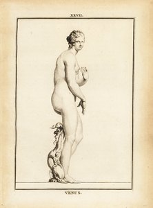 Statue of Venus, Roman goddess of love, beauty, sex and fertility by Unbekannt