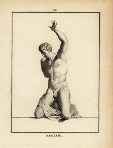 Statue of Narcissus