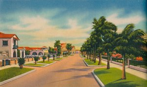 Street in a residential district, Barranquilla