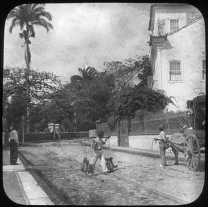 Street Scene, Pernambuco, Brazil, late 19th or early 20th century by Unbekannt