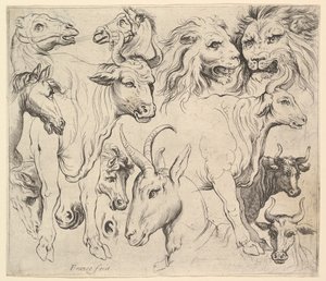 Studies of Heads