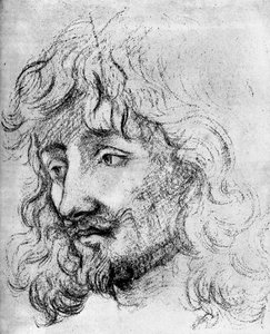 Study of a Head