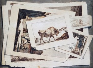 Study of Drawings and Prints by Unbekannt