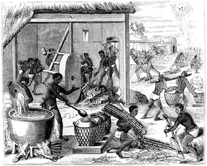 Sugar production