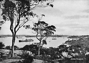Sydney Harbour, from Cremorne Point