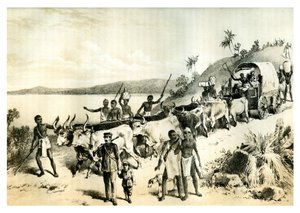 The Arrival at Lake Ngami, 1883 by Unbekannt
