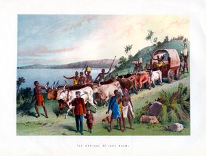 The Arrival at Lake Ngami by Unbekannt