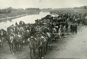 The Battle of the Rivers, 1919