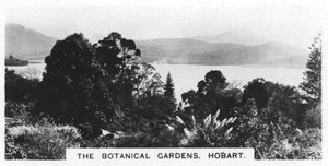 The Botanical Gardens, Hobart, 1928 by Unbekannt