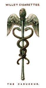 The Caduceus