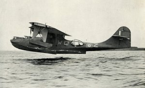 The Consolidated Catalina