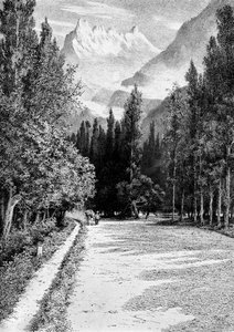 The Dent du Midi from the Valley of the Rhone